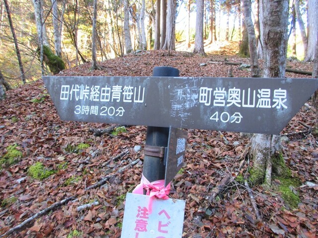 田代峠経由青笹山の道標