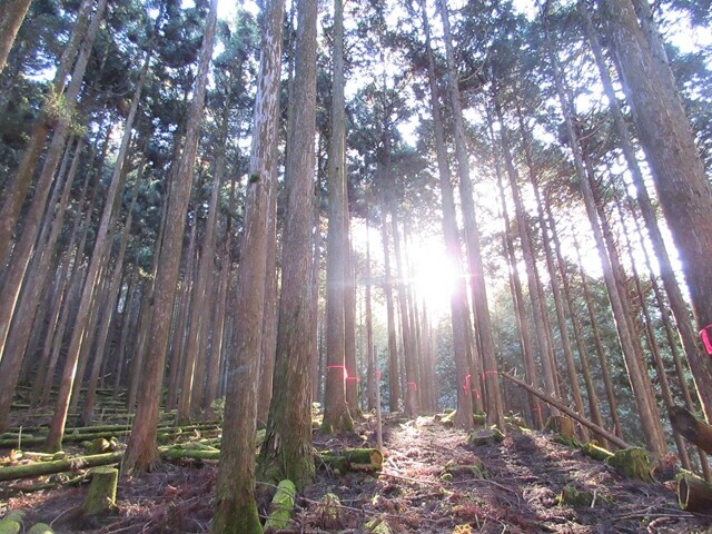 田代峠のトラバース登山道