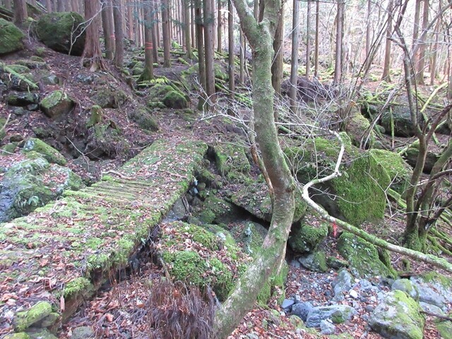 田代峠への登山道に架かる橋