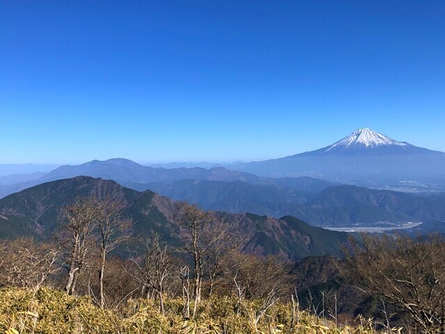 青笹山の登山道から眺める富士山