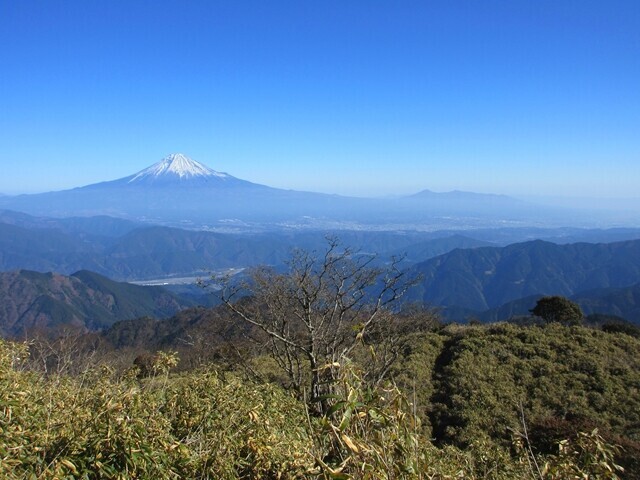 青笹山の山頂直下からの景色
