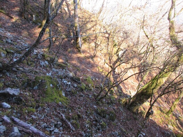 地蔵峠から月夜の段への登山ルートの様子