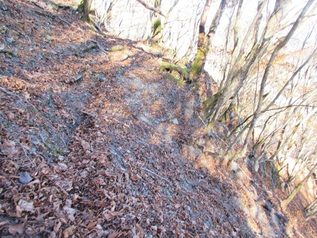 地蔵峠から月夜の段への登山ルートの踏み跡と滑落要注意箇所