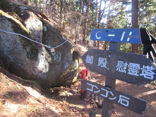 新倉山のゴンゴン石