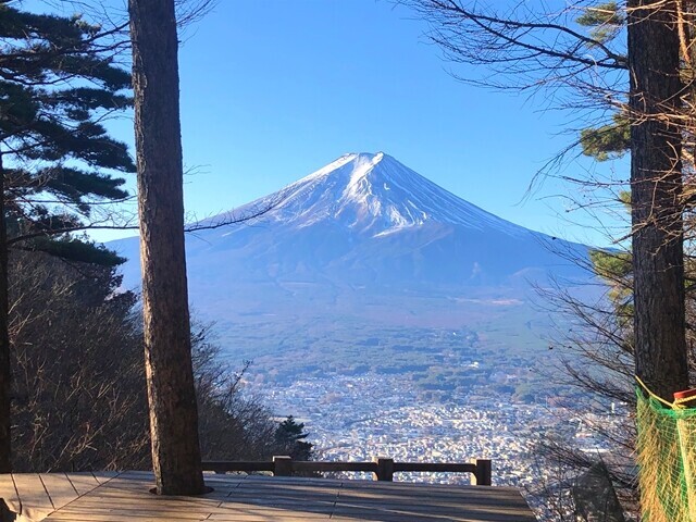 新倉山付近の景色