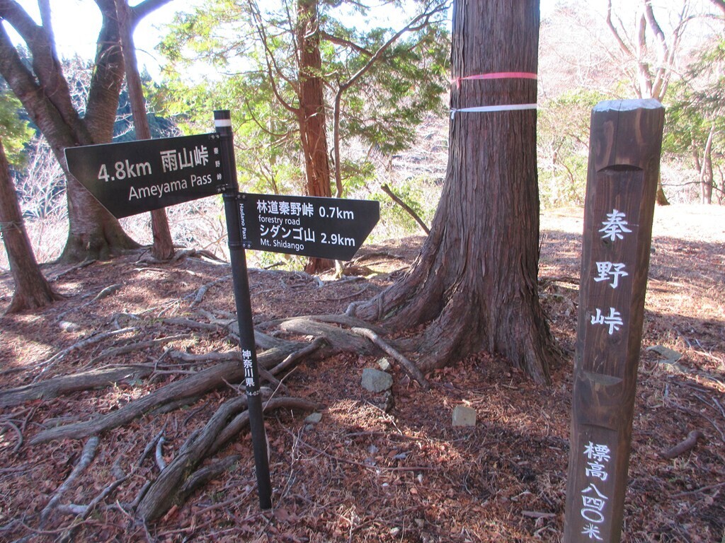 秦野峠の標高は８４０ｍ