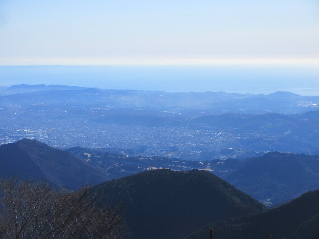 秦野峠から伊勢沢ノ頭への登山ルート上の景色