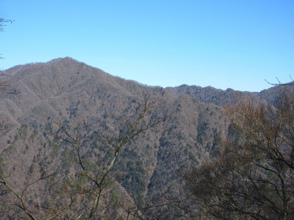 檜岳山稜から見る檜洞丸の景色