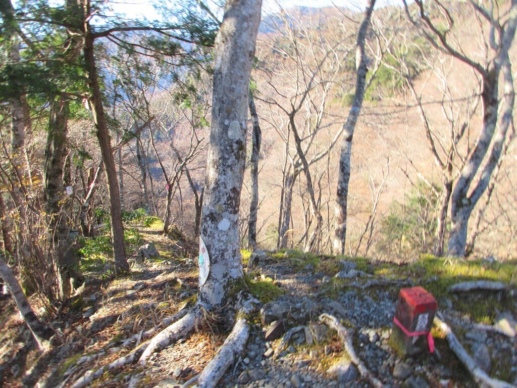 鍋割山後沢右岸コースの入口
