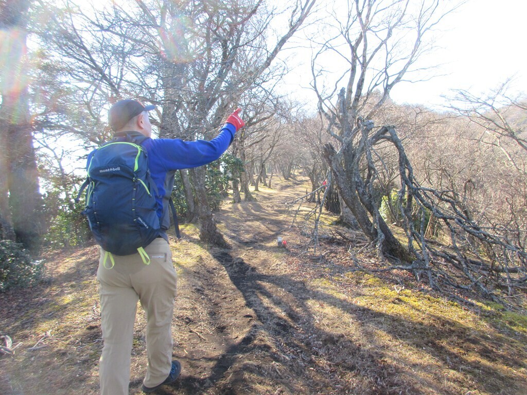 大山を目指して登っている登山者