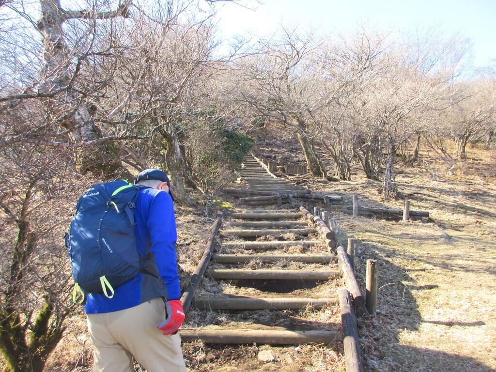 大山山頂直下の長い階段の手前で佇登山者の様子