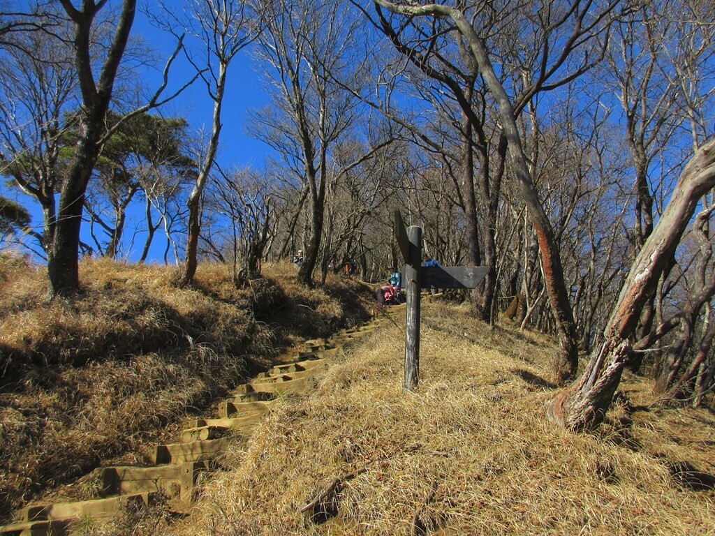 大山山頂直下の長い階段の様子