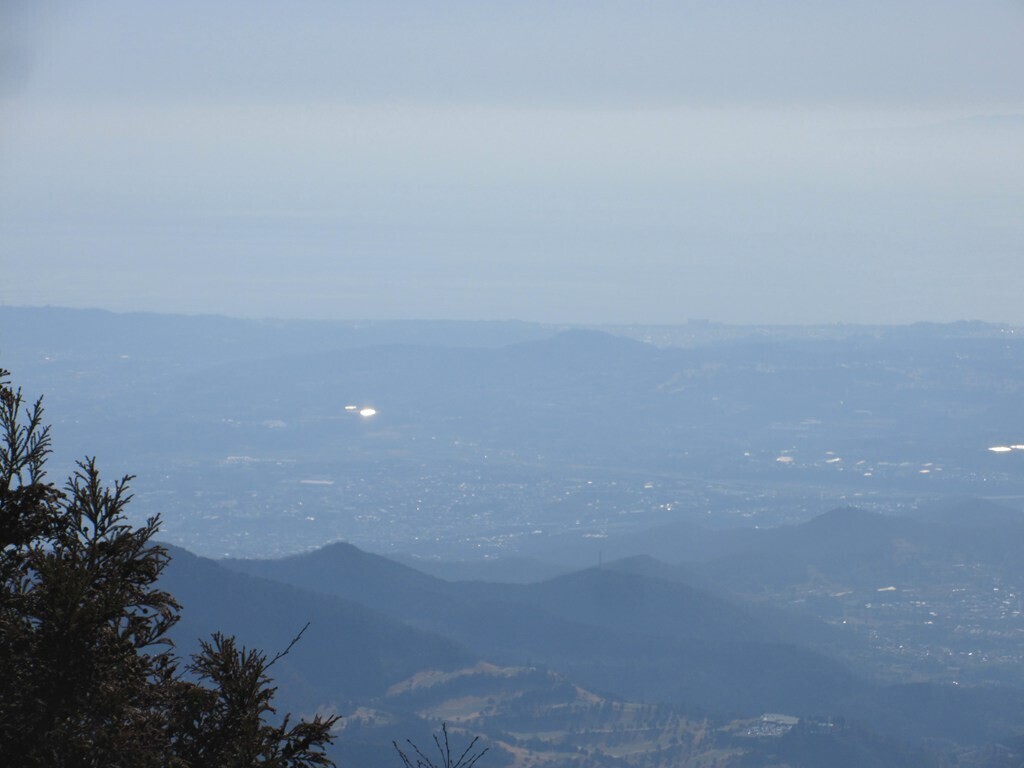 大山から眺める相模湾の景色