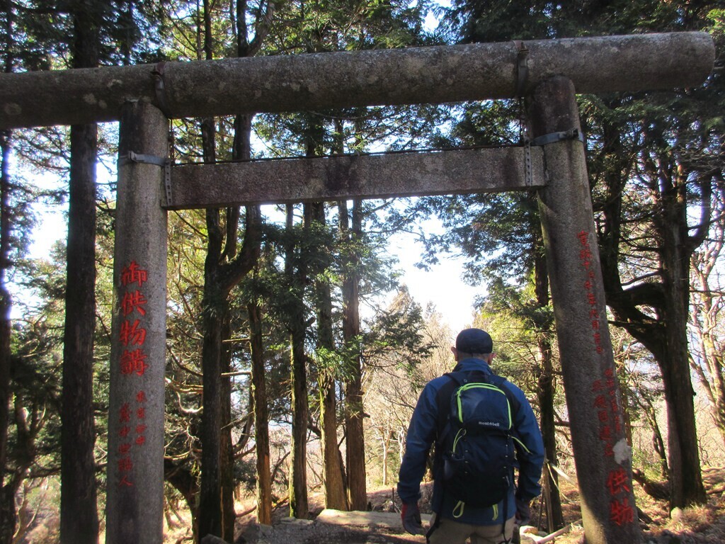 大山の山頂から鶴巻温泉へ下山開始の様子