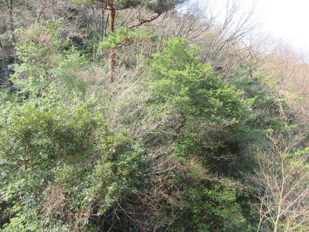 月への船の窓からの景色