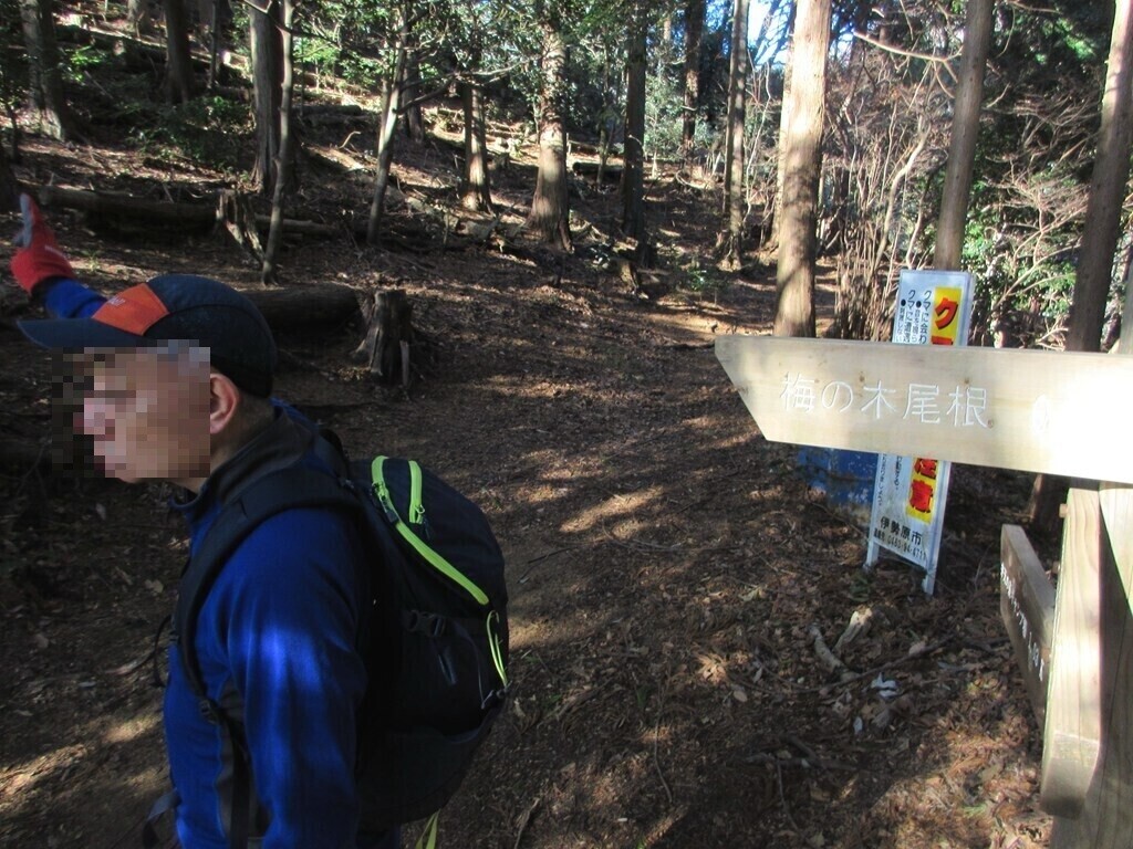日向山と梅ノ木尾根
