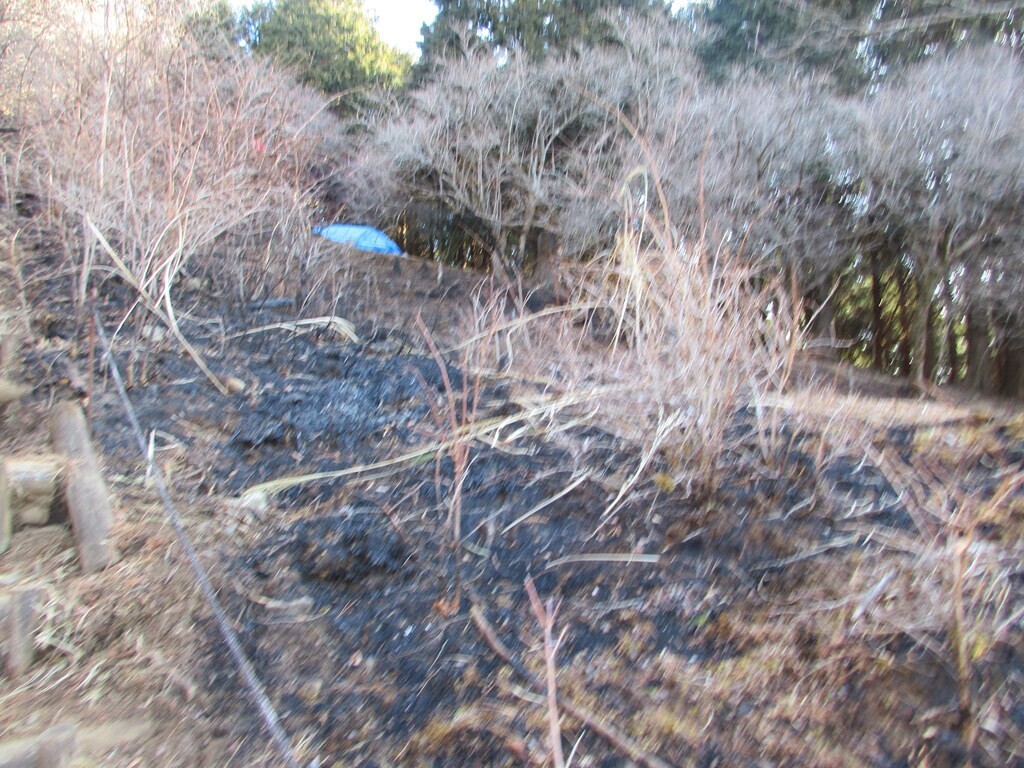 堀山の家の上部の火事の現状