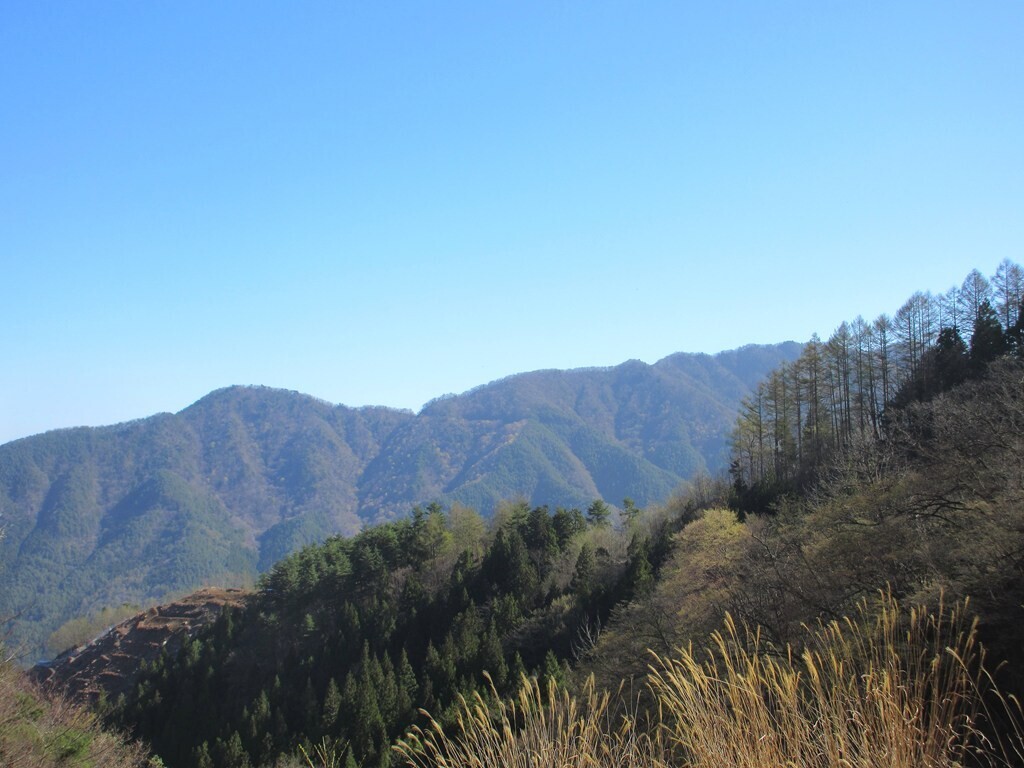 三輪神社から峰宮跡へ至る登山口