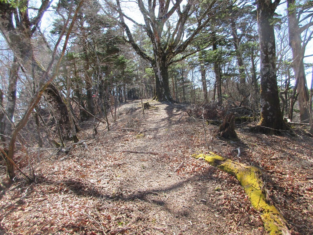 三輪神社から峰宮跡付近の一般登山道と合流した様子