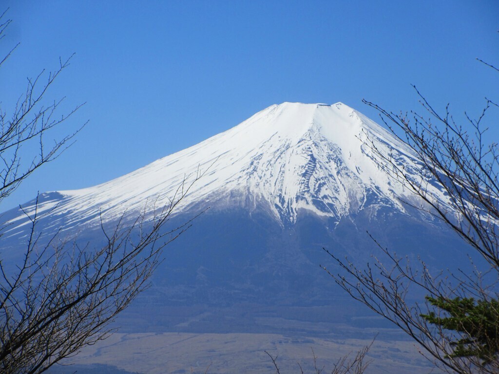 三輪神社から御正体山登山中の富士山の景色