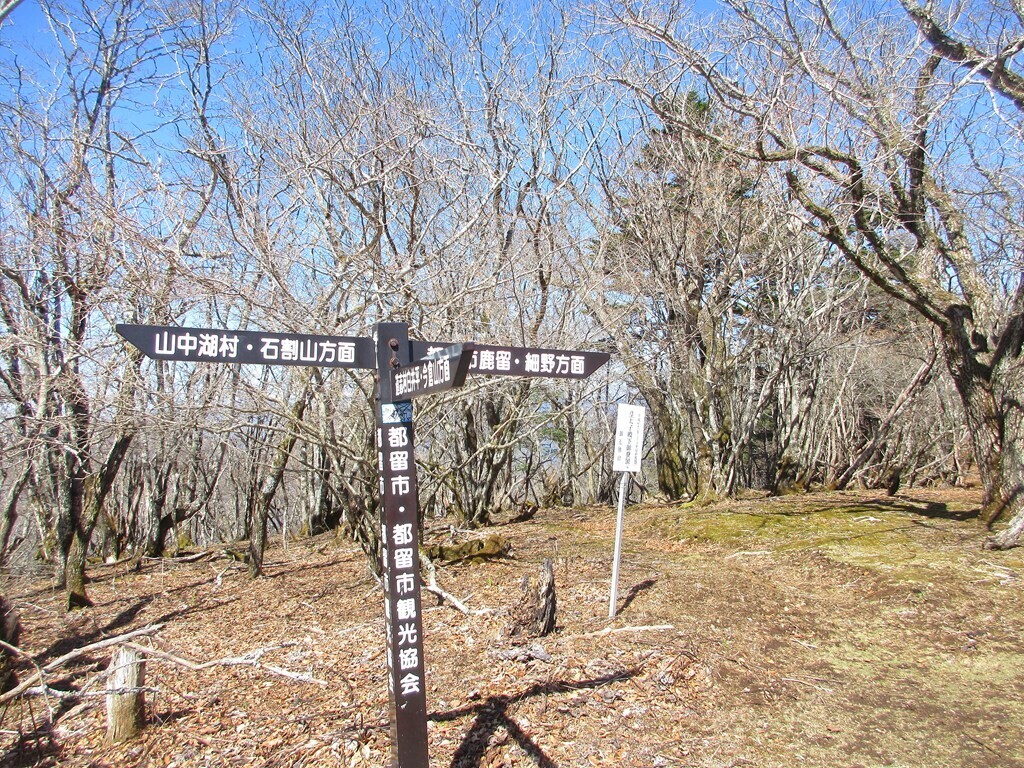 御正体山の山頂は樹林が広がり展望はない様子