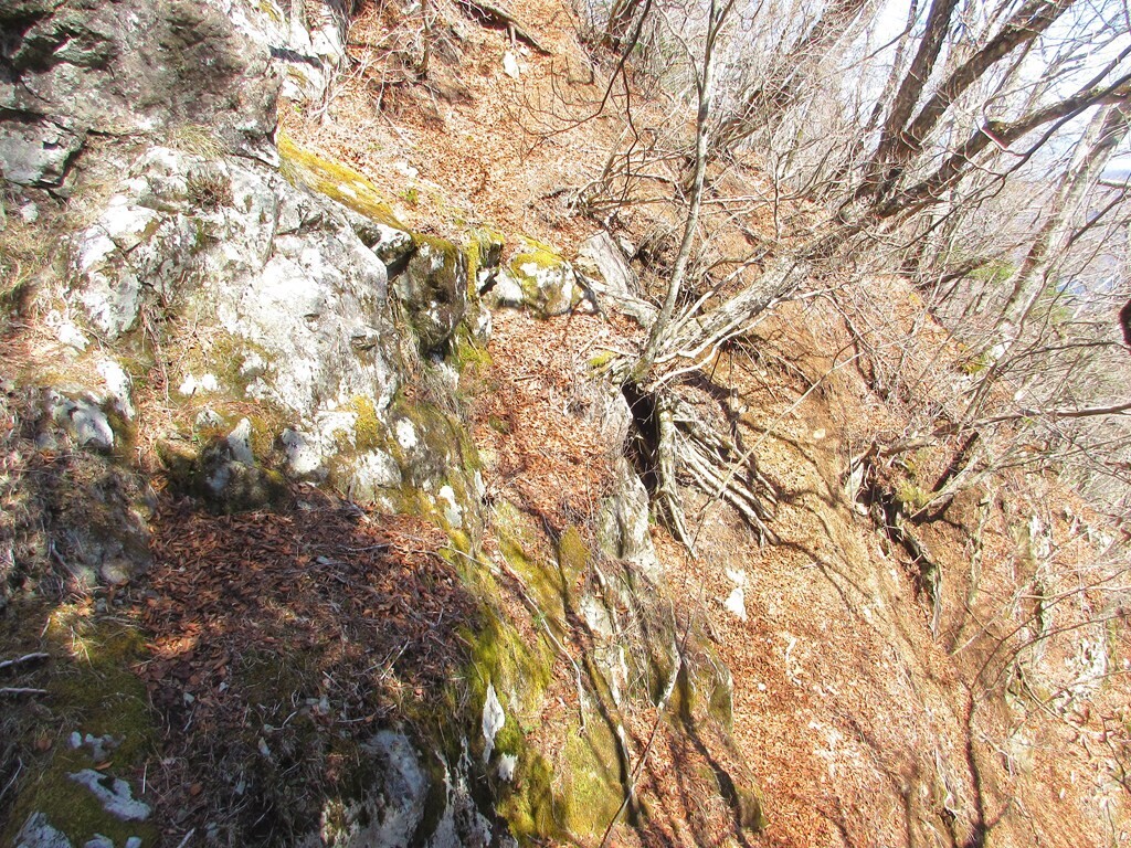 御正体山の山頂と峰宮跡までの登山ルートの滑落要注意箇所