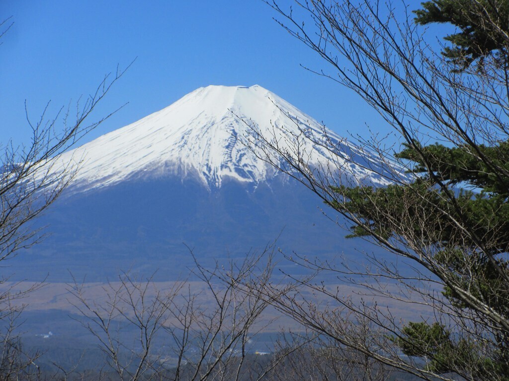 峰宮跡から富士山の景色