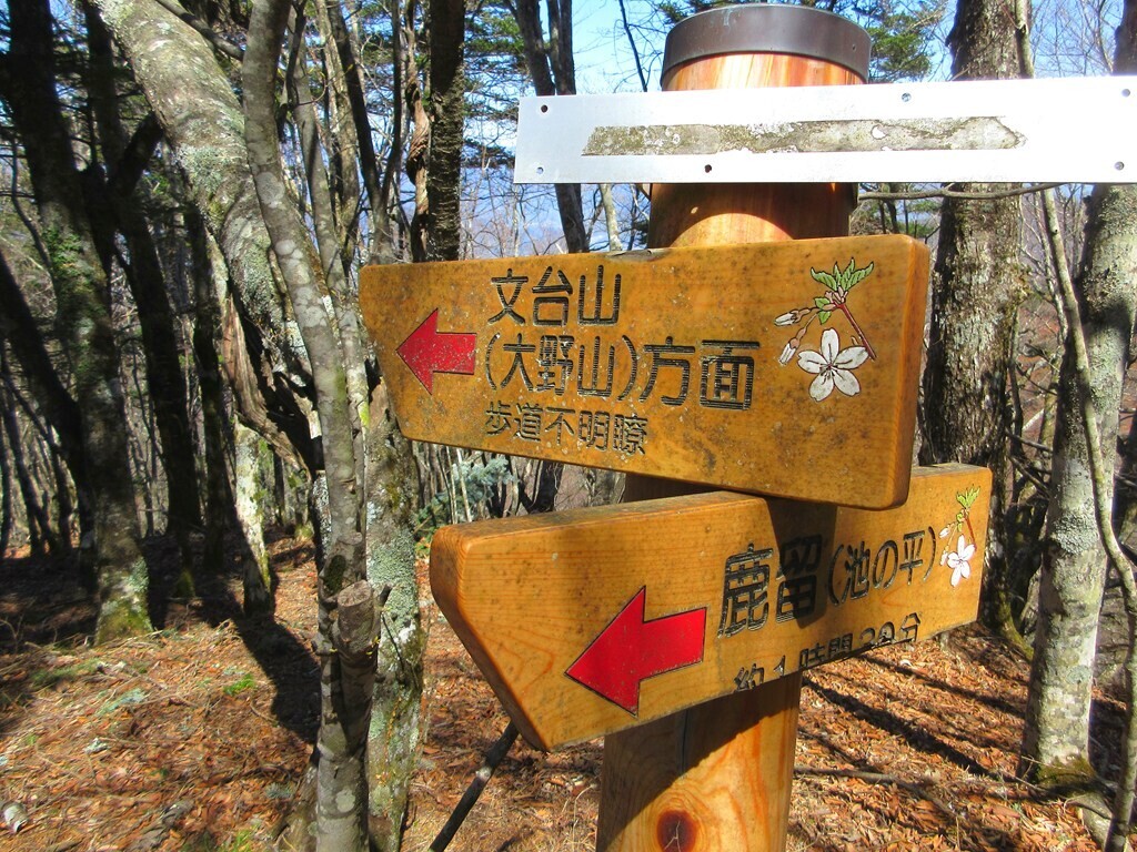 御正体山から文台山（大野山）分岐地点