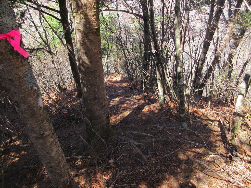 御正体山から文台山までの登山ルートの詳細
