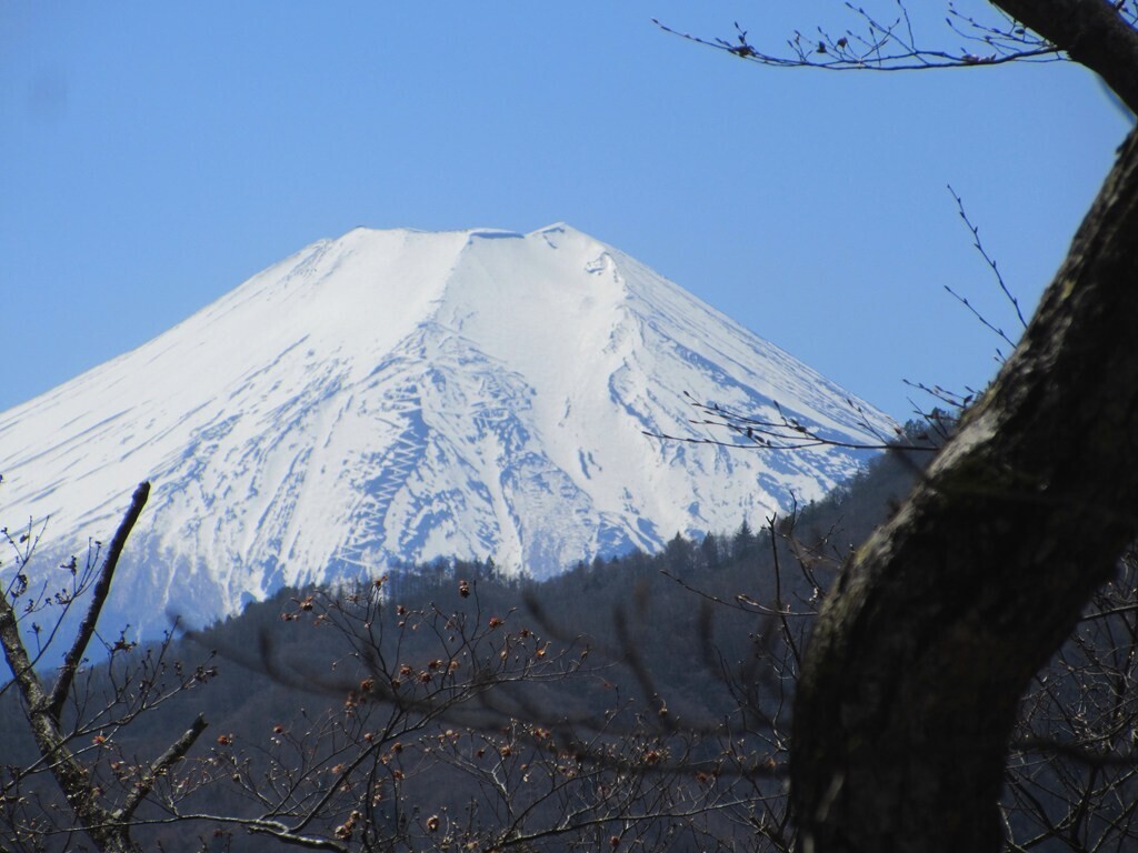 文台山近くからの富士山の風景
