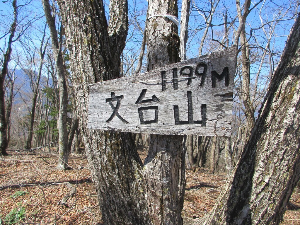 文台山の山頂