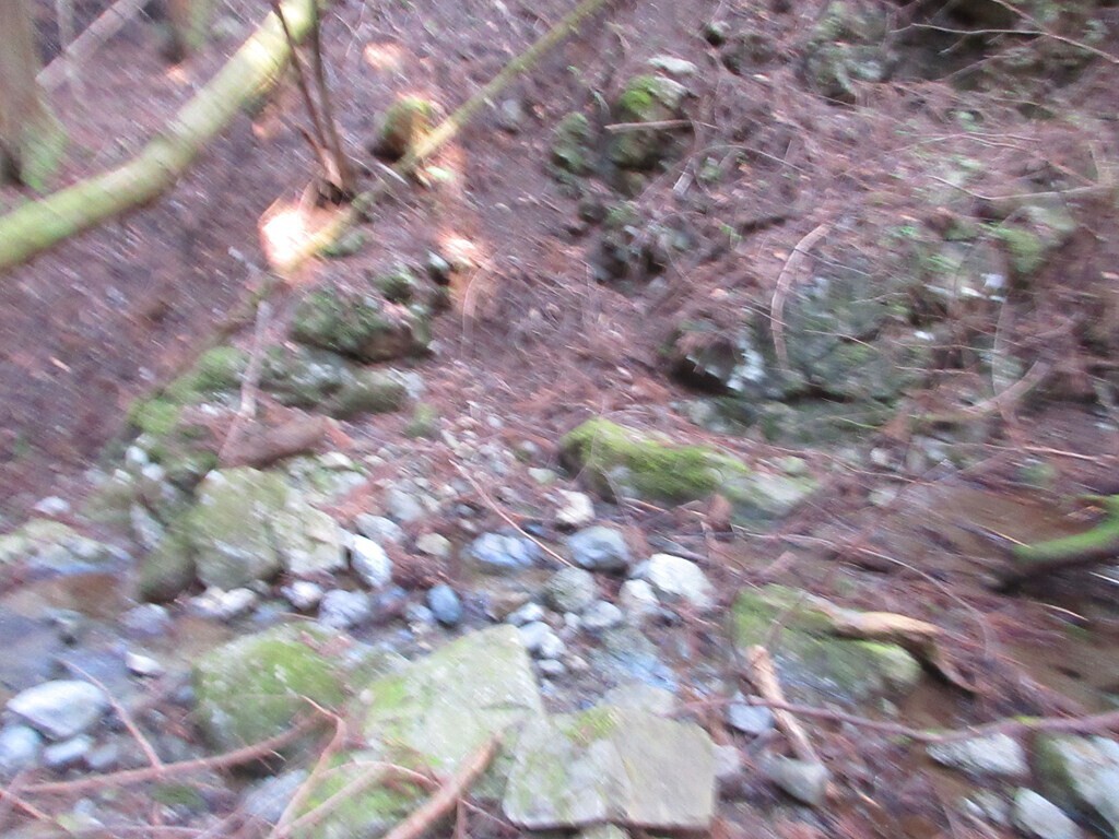 尾崎山から下山の様子