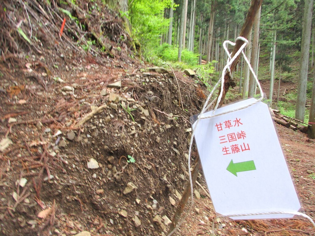 林道工事中の生藤山登山ルートの様子