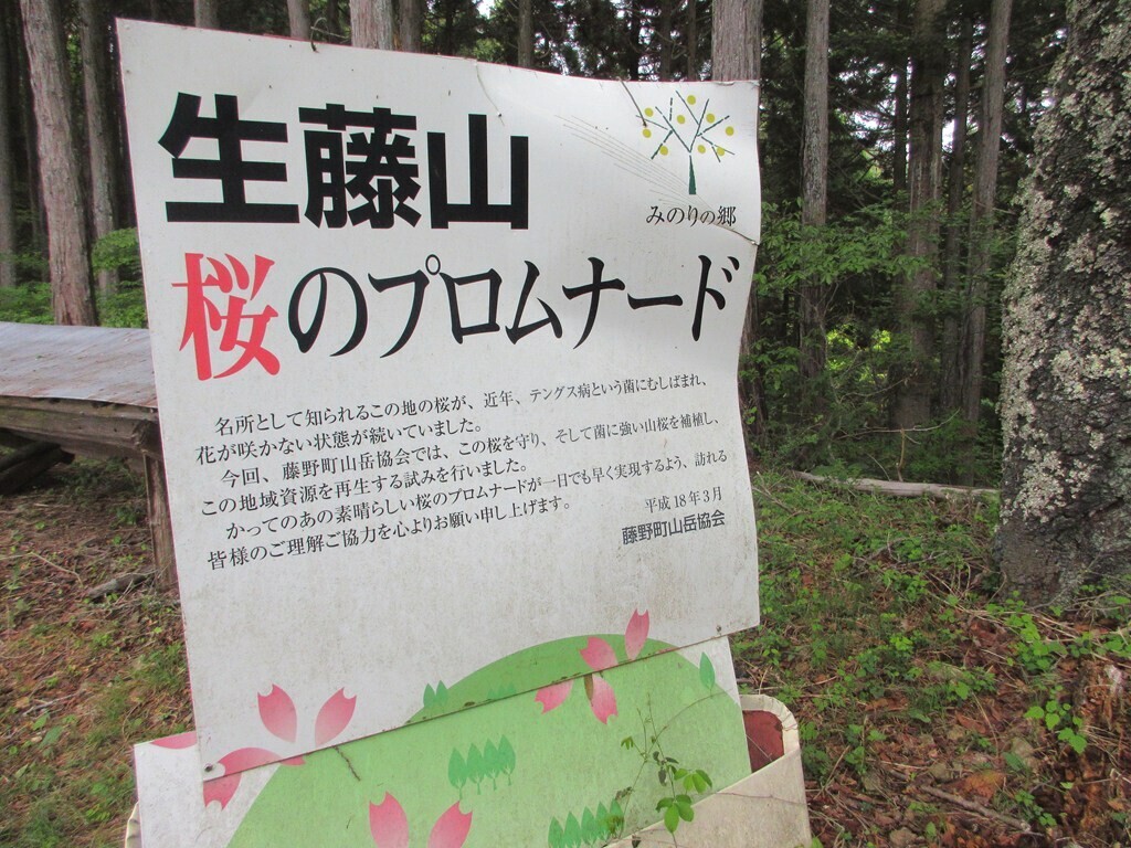 軍刀利神社桜のプロムナード