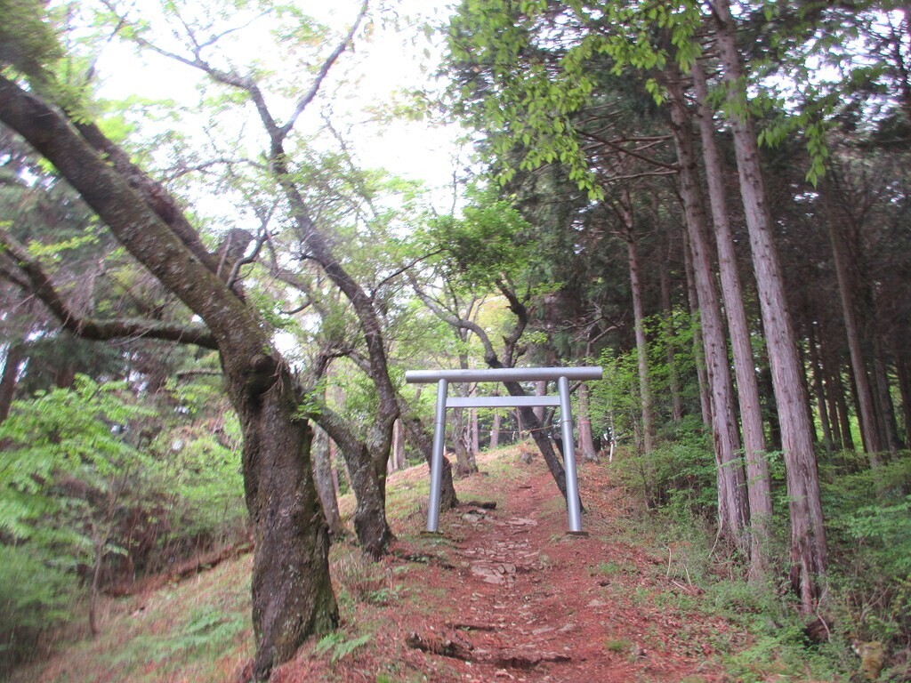 軍刀利神社の鳥居