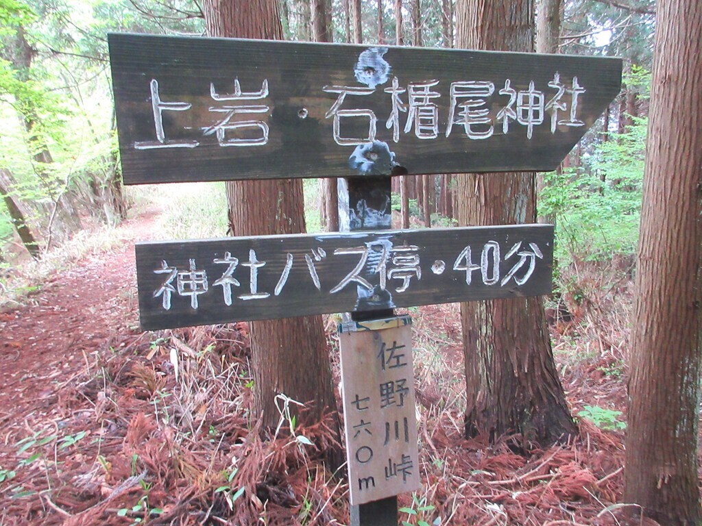 佐野川峠から甘草水、生藤山登山開始の様子