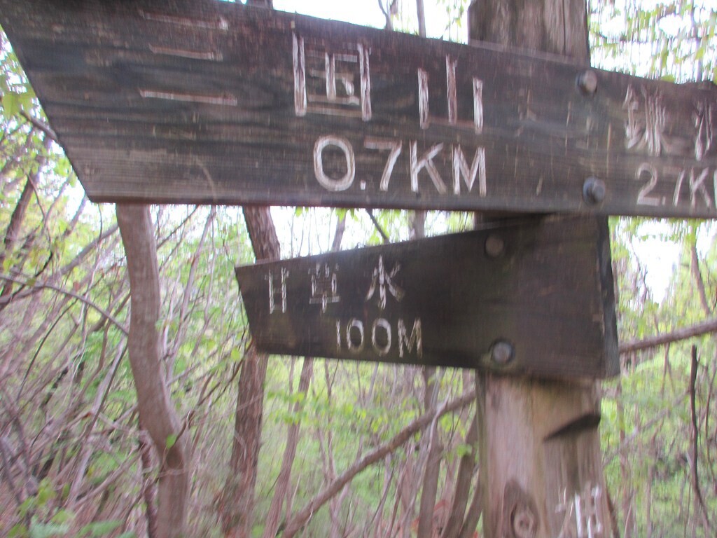 甘草水の分岐