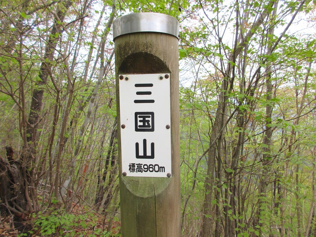 三国山の山頂