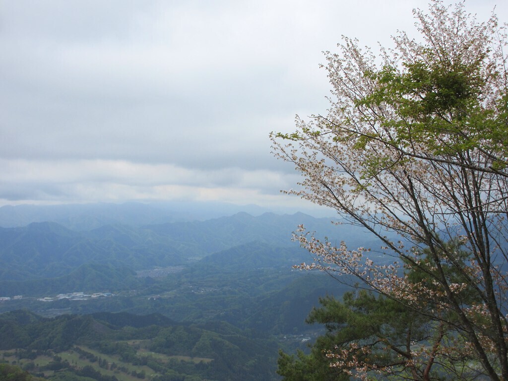 軍刀利神社元社の桜と上野原市の景色