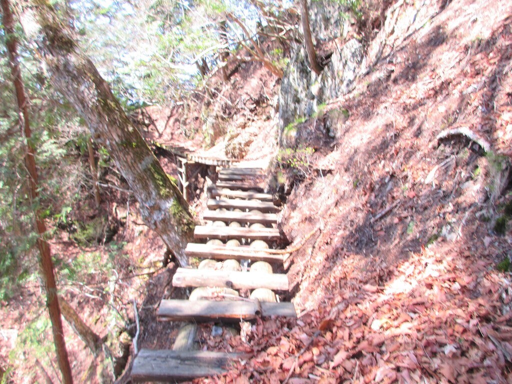 酉谷山方面（七跳山）廃道ルートの様な登山道