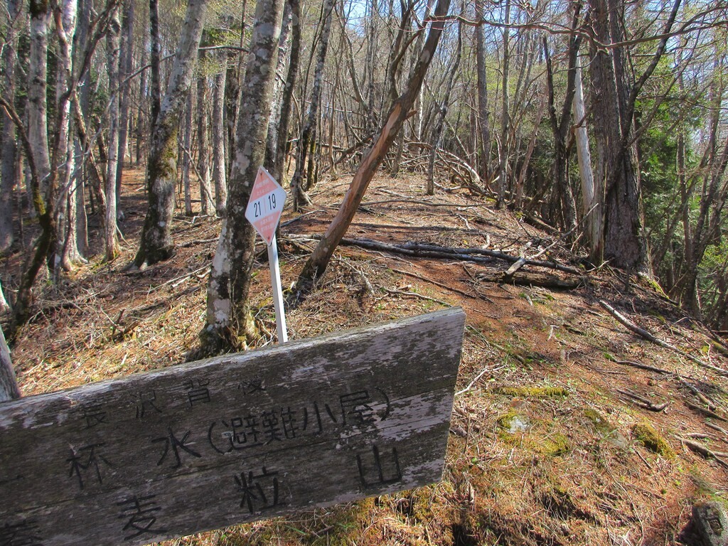 酉谷山と七跳山分岐地点