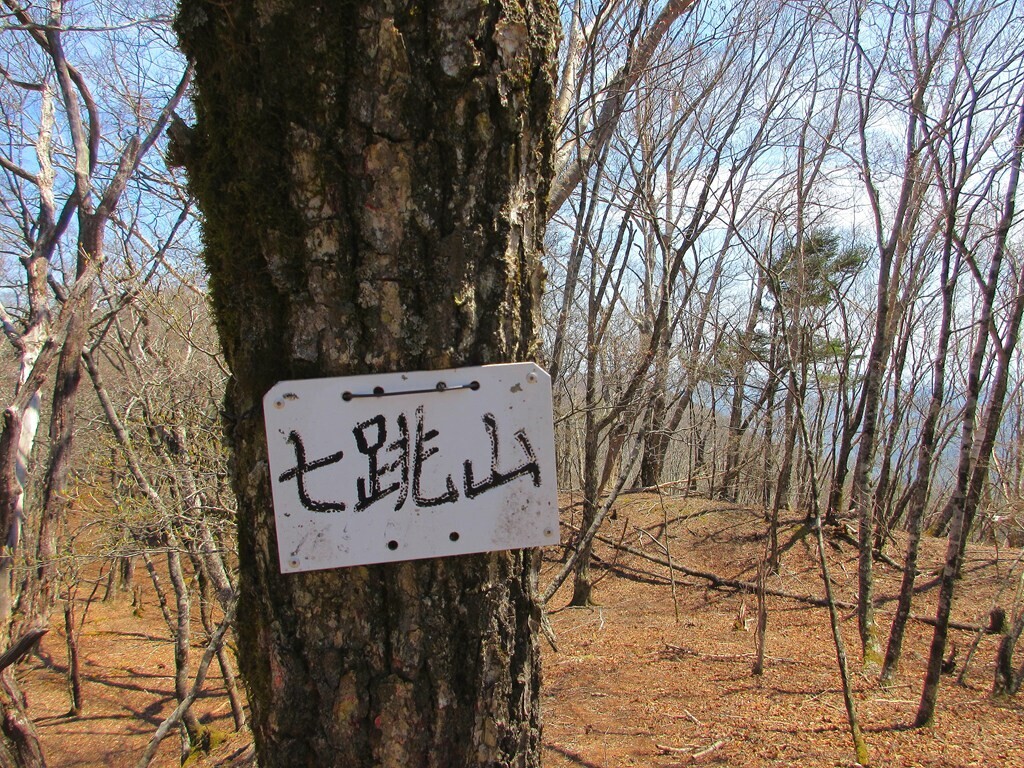 七跳山の山頂