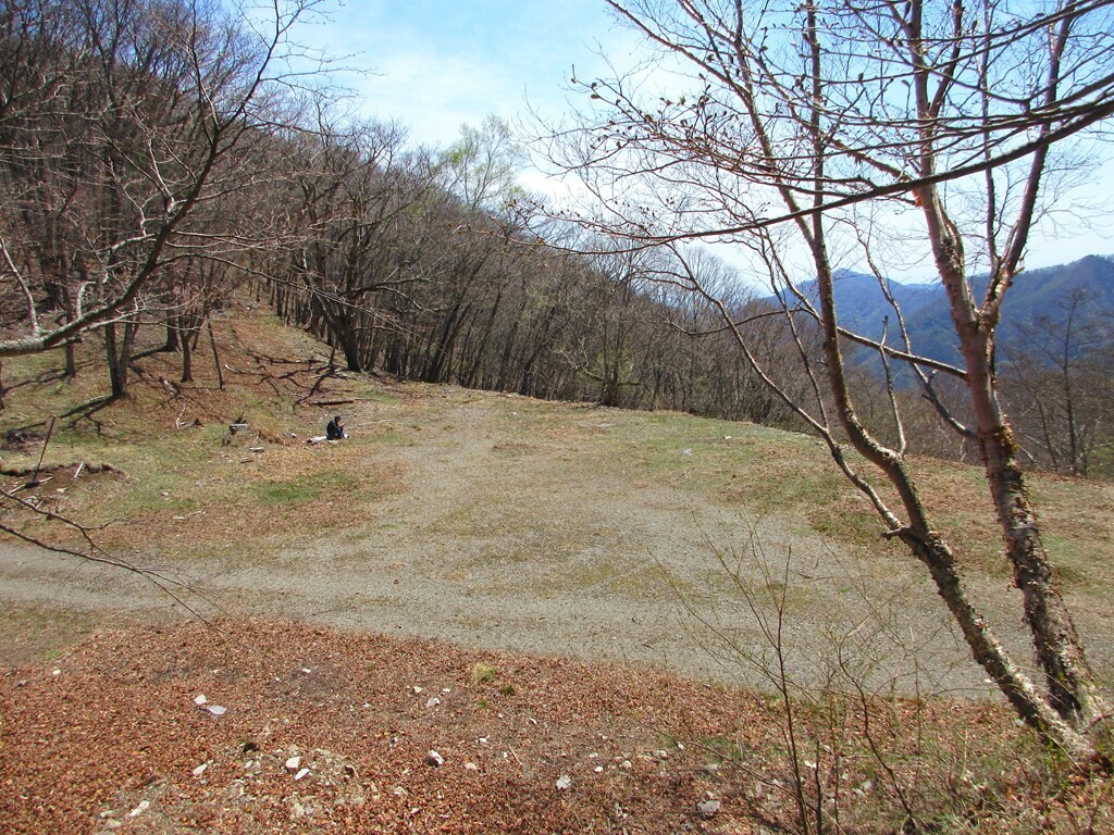 太平山への登山口と林道の様子