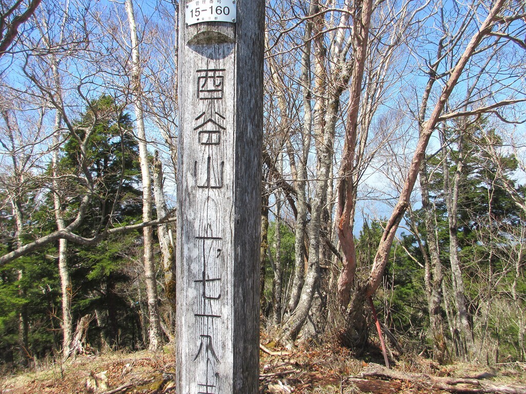 酉谷山の山頂と標高