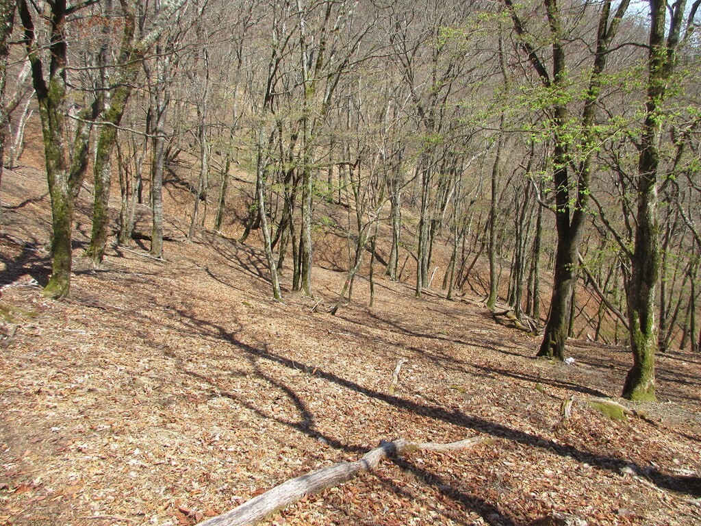 酉谷山から下山開始の様子