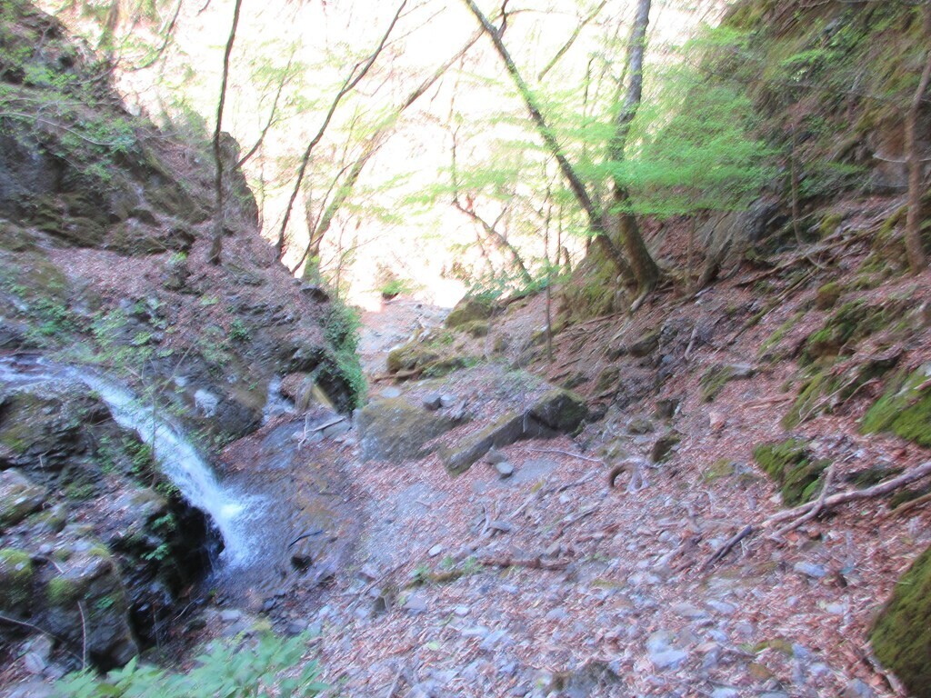 小川谷ルートは沢沿い歩きで大きな岩が多い様子