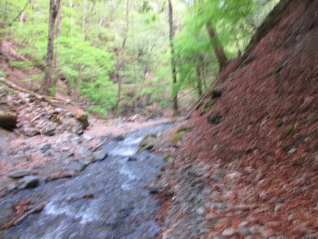 小川谷で道迷いの様子