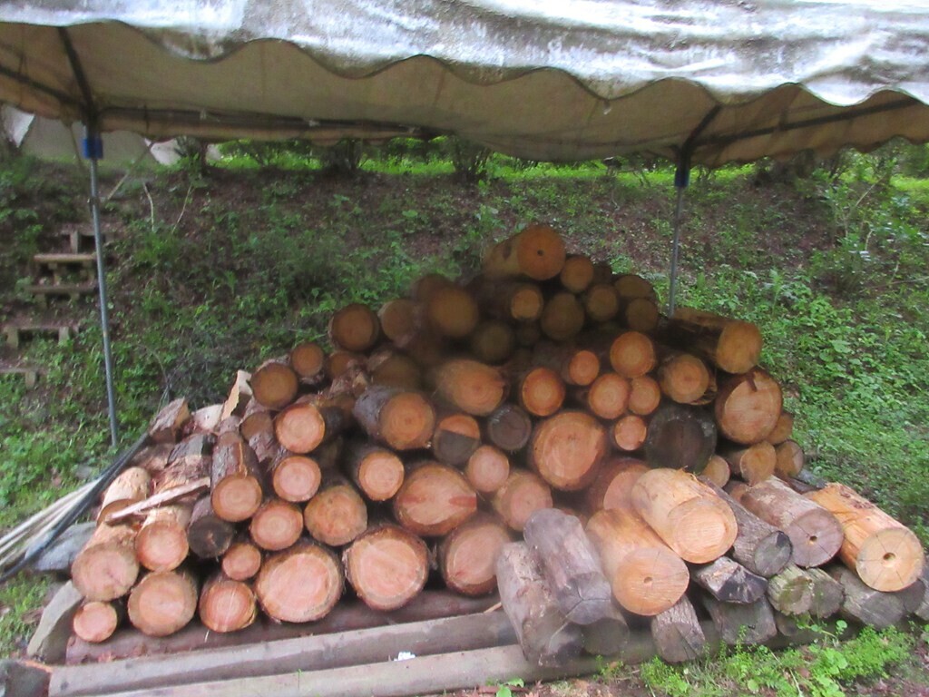 平野田休養村キャンプ場の薪置き場