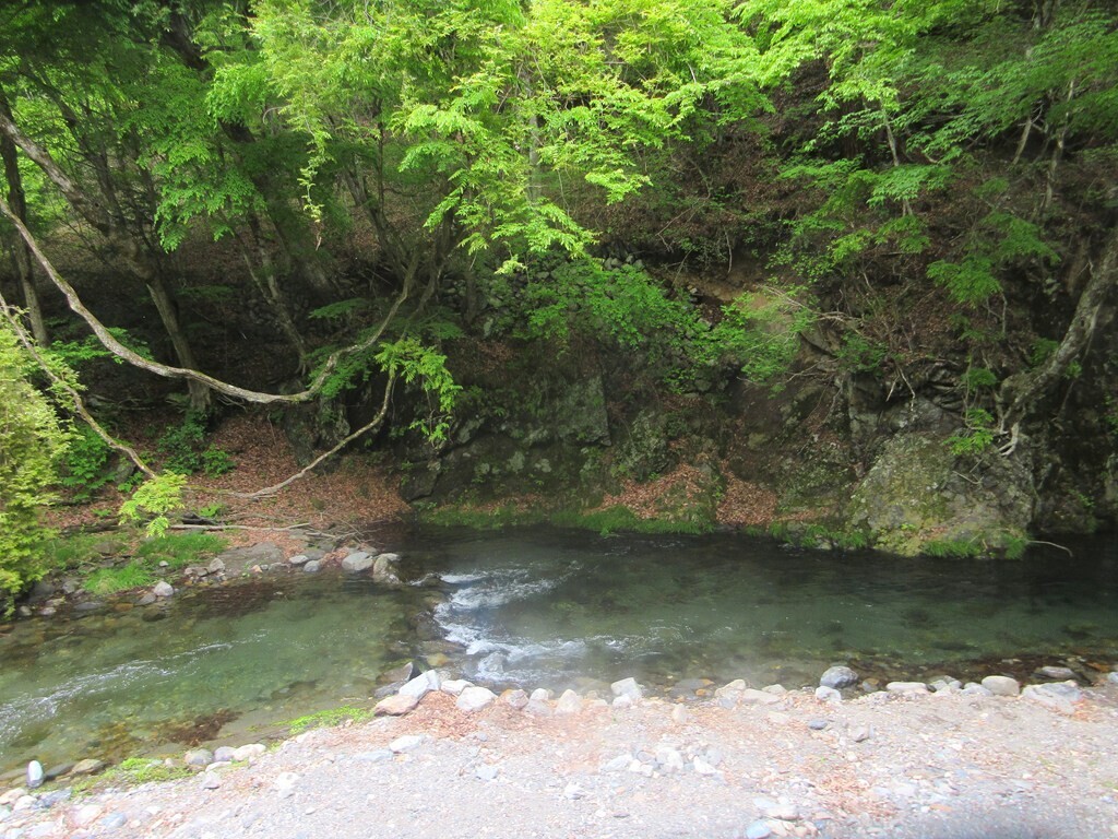 平野田休養村キャンプ場レビューの様子