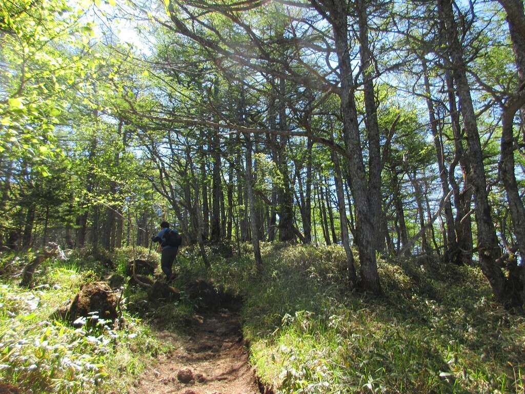 トミーの頭を目指し浅間山登山開始の様子